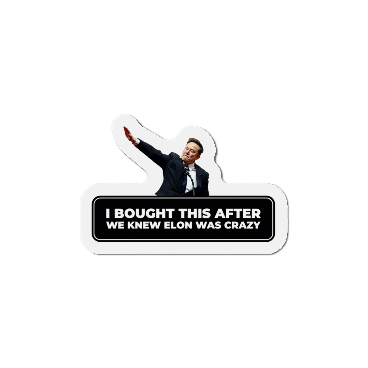 I Bought This After We Knew Elon Was Crazy Magnet