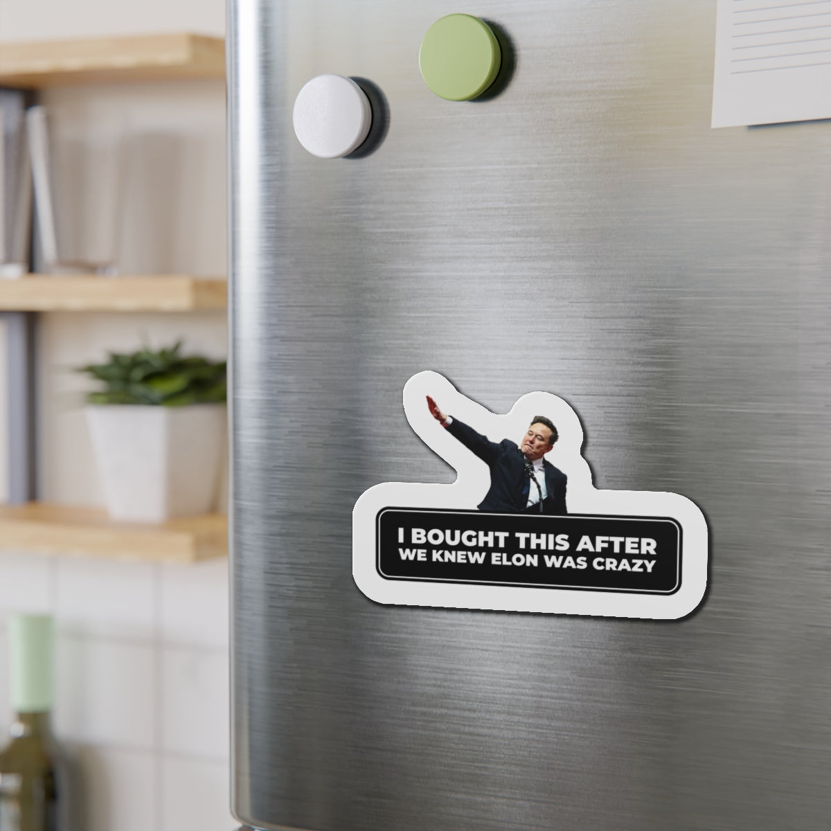 I Bought This After We Knew Elon Was Crazy Magnet