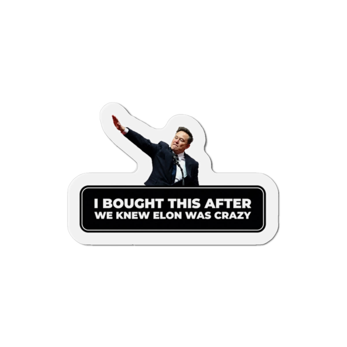 I Bought This After We Knew Elon Was Crazy Magnet