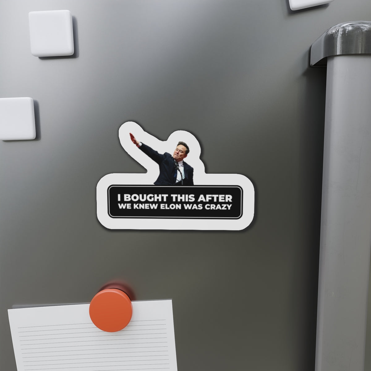 I Bought This After We Knew Elon Was Crazy Magnet
