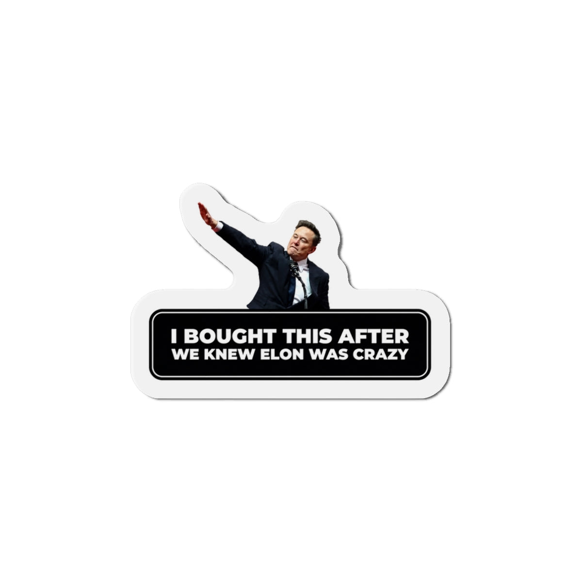 I Bought This After We Knew Elon Was Crazy Magnet